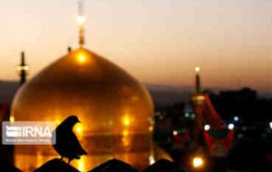 سلامی به امام رئوف