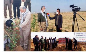 کارخانه صنایع چوب در شهرستان دهلران ایجاد می شود