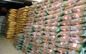 حمایت از مصرفکنندگان با واردات ۷۰۰ هزار تن برنج در نیمه اول امسال حمایت از مصرفکنندگان با واردات ۷۰۰ هزار تن برنج در نیمه اول امسال