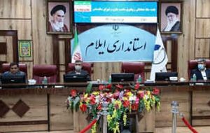 ۴۴ درصد معلولیت‌ها در ایلام از نوع جسمی، حرکتی است