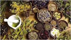 وجود ۱۵۰۰ واحد عطاری غیر مجاز در تهران/ تلاش ترکیه برای ثبت جهانی «عطاری» در یونسکو