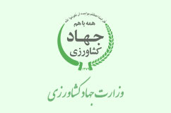 مانور نظارت بر بازار و کالاهای اساسی کشاورزی استان ایلام مانور نظارت بر بازار و کالاهای اساسی کشاورزی استان ایلام