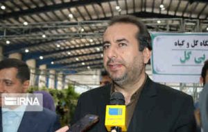تعداد خودروی خانوارهای ایلامی بالاتر از میانگین کشوری است تعداد خودروی خانوارهای ایلامی بالاتر از میانگین کشوری است