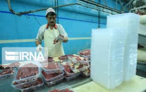 گوشت گرم گوسفندی با قیمت ۲۴۰ هزار تومان در ایلام عرضه می شود گوشت گرم گوسفندی با قیمت ۲۴۰ هزار تومان در ایلام عرضه می شود