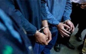 کشف ۸۰ فقره سرقت و دستگیری ۴۲ سارق در اجرای طرح ضربتی پلیس ایلام
