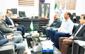 کسب رتبه نخست ایلام در اجرای طرح جهش تولید در دیمزارها