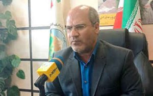 پیش بینی برداشت ۱۵۰ تن سقز در ایلام