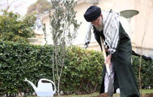 به مناسبت روز درختکاری و هفته منابع طبیعی؛ رهبر معظم انقلاب سه اصله نهال کاشتند