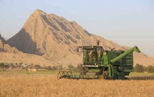 کشاورزان برای برداشت محصول در زمینهای شیبدار از دروگر استفاده کنند کشاورزان برای برداشت محصول در زمینهای شیبدار از دروگر استفاده کنند