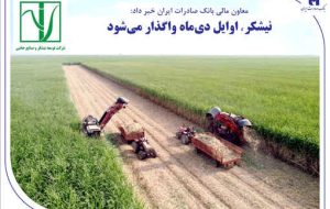«نیشکر» اوایل دیماه واگذار میشود «نیشکر» اوایل دیماه واگذار میشود