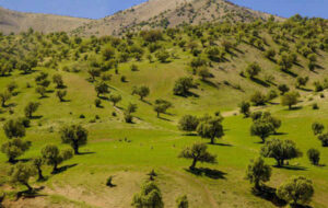 خانمحمدیان:۹۰ درصد اقدامات منابع طبیعی نیازمند مشارکت مردم است