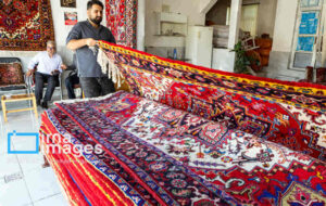 گره‌های کور بر تار و پود فرش ایلام