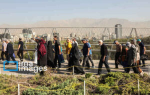 پیادهروی خانوادگی؛ درمانی طبیعی برای اضطراب و خستگی پیادهروی خانوادگی؛ درمانی طبیعی برای اضطراب و خستگی