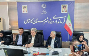 زنان سرپرست خانوار روستایی و ۲۰ درصد از زنان سرپرست خانوار شهری رایگان بیمه می‌شوند