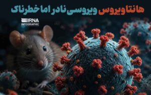 هانتاویروس؛ تهدید محیطی، نه فرد به فرد