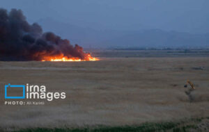 آتش‌سوزی کشتزارهای مهران مهار شد