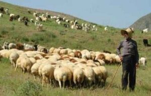 بهرهمندی بیش از ۱۲۰۰ خانوار ایلامی از خدمات بیمههای اجتماعی کمیته امداد بهرهمندی بیش از ۱۲۰۰ خانوار ایلامی از خدمات بیمههای اجتماعی کمیته امداد