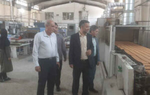بازدید مدیرکل استاندارد از واحدهای تولیدی استان در راستای برنامه‌های نظارتی هفته دولت